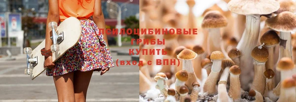 скорость mdpv Белокуриха
