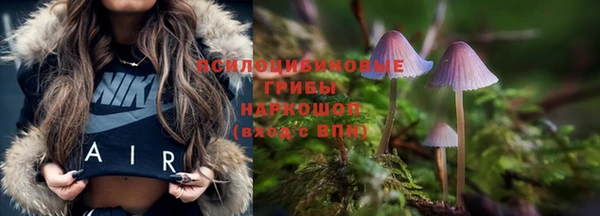 спайс Беломорск