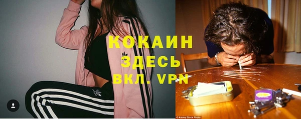 спайс Беломорск