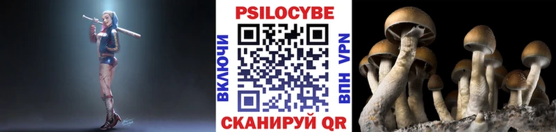 Галлюциногенные грибы MAGIC MUSHROOMS  Гремячинск 